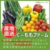 ぐーももファーム 無農薬・季節野菜の 詰め合わせセット（中）