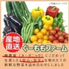 ぐーももファーム 無農薬・季節野菜の 詰め合わせセット（大）